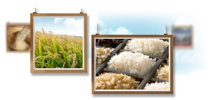 1503886954602220.png 圖片1.png